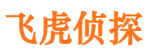 桦川市婚姻调查